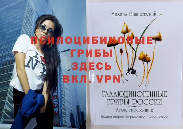 бутират Алзамай