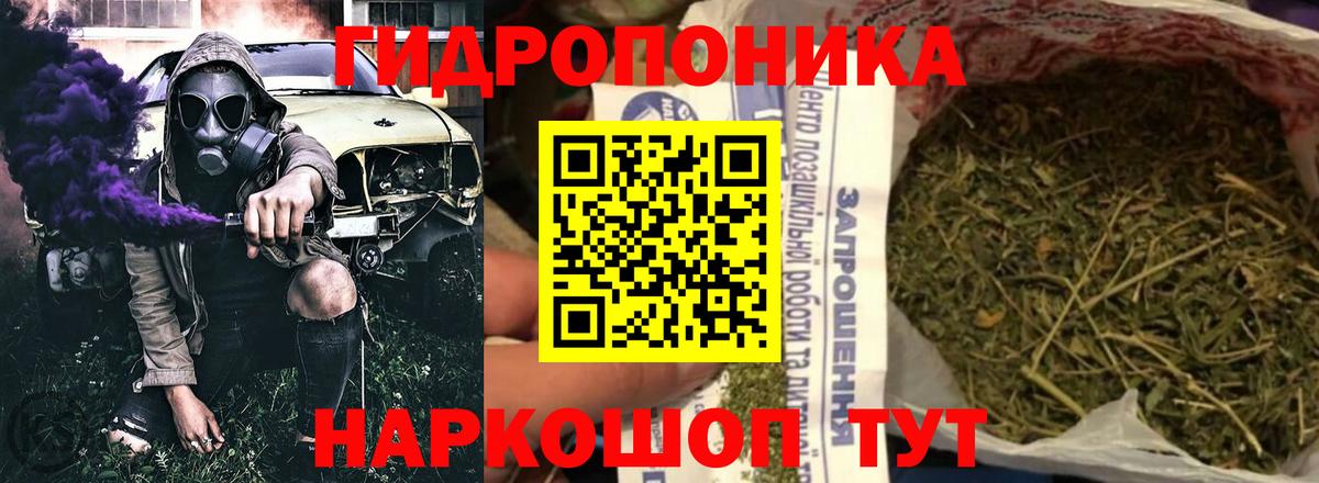 Шишки марихуана план  Каннабис сатива  Подольск  Вход с VPN 